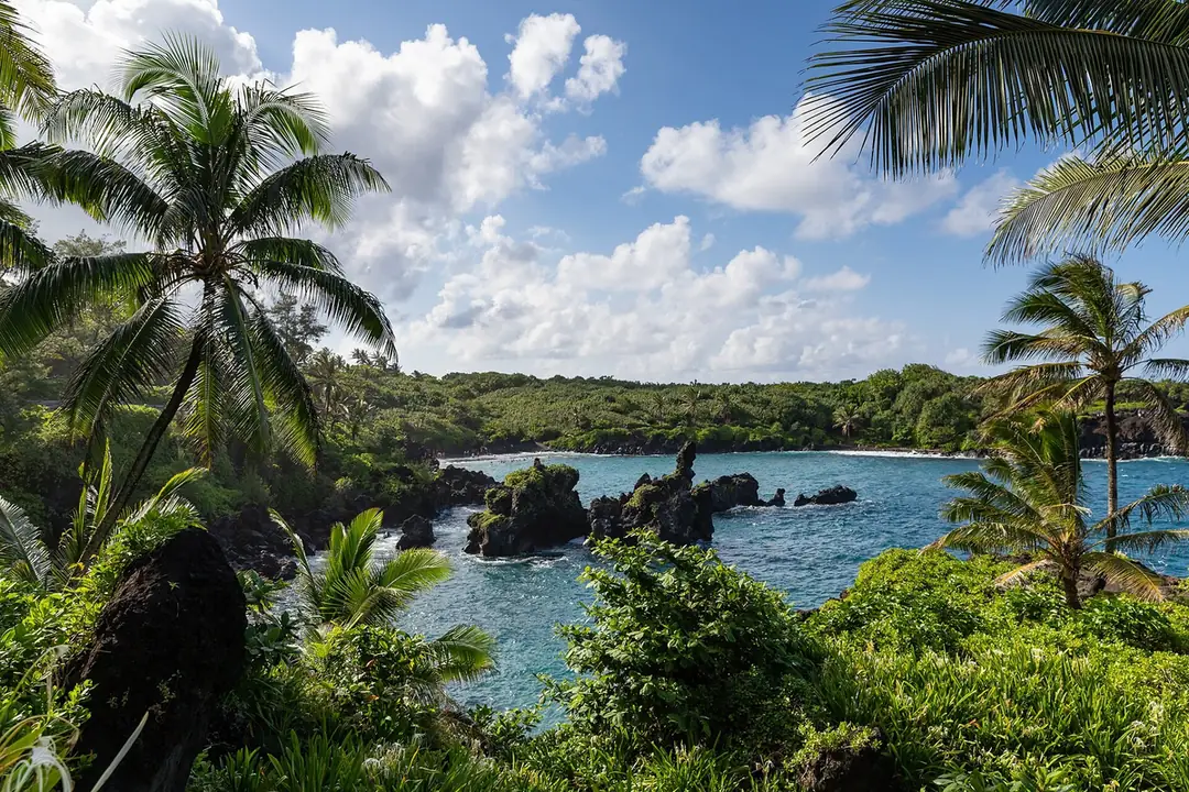 Black lava rock stacks in a blue cove framed by coconut palms at Waianapanapa State Park on Maui