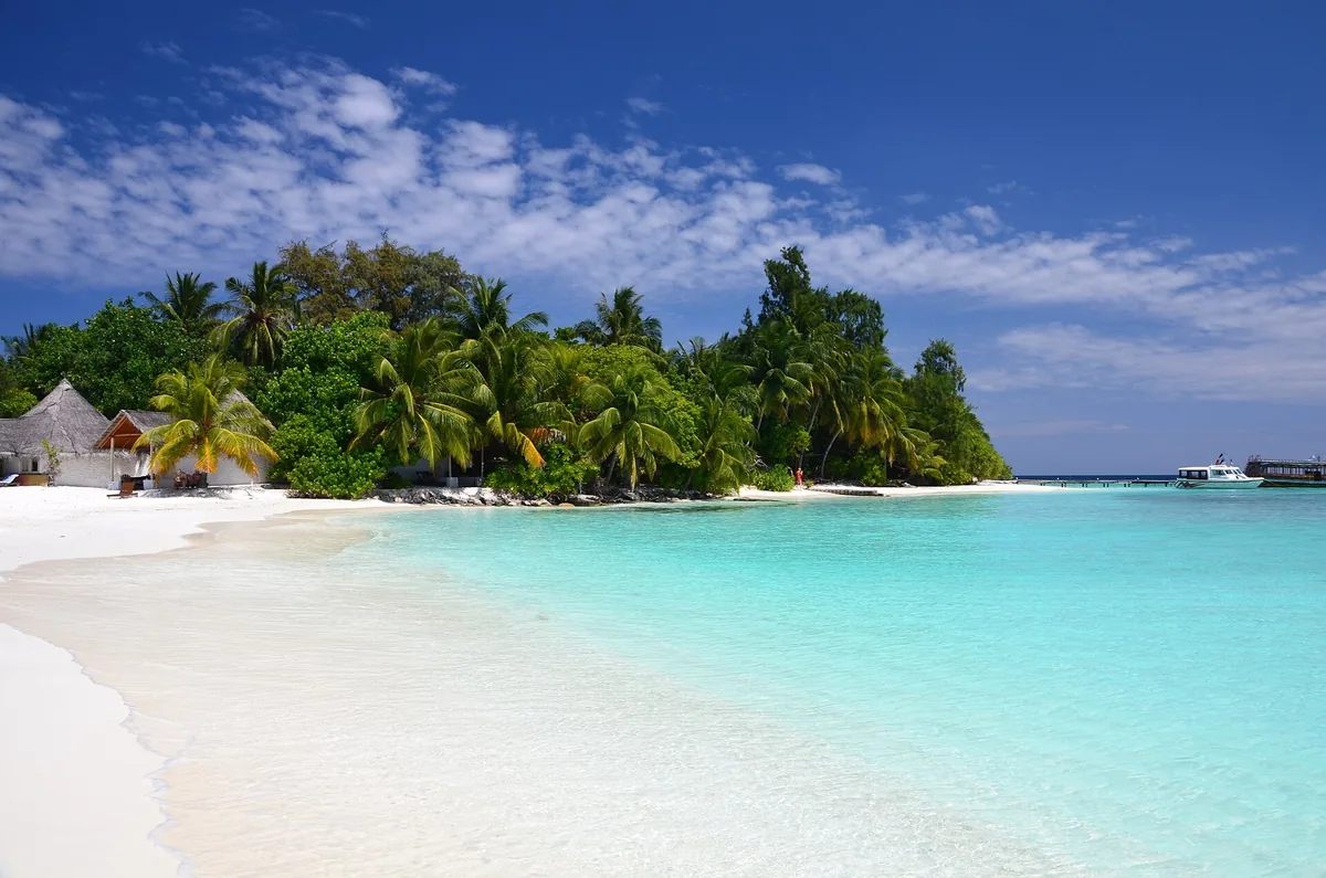 White sand and glowing turquoise water at the palm-covered island of Bathala in the Maldives