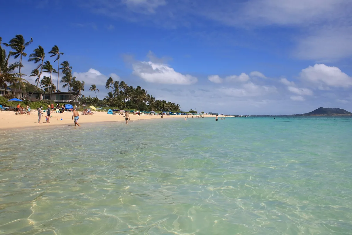 Palm-lined Lanikai Beach on Oahu seen from clear, shallow green water, with beachgoers on the sand