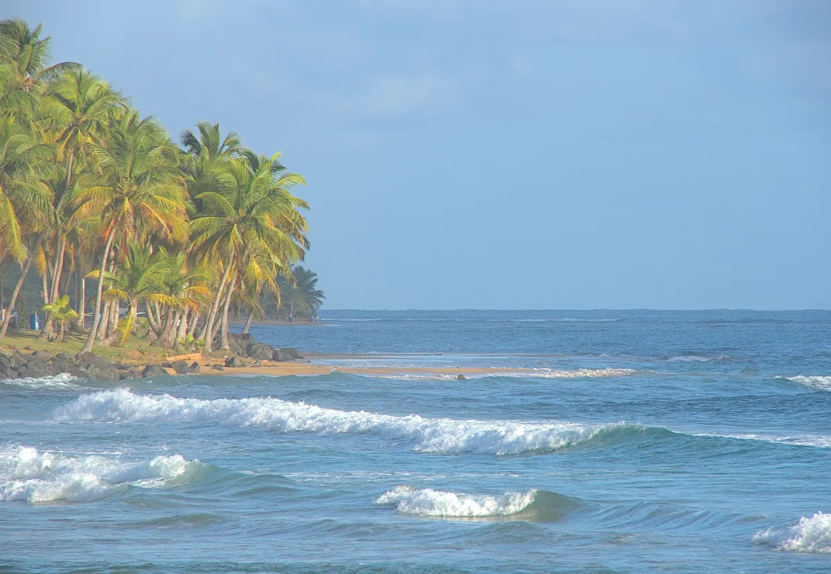 Waves rolling onto a palm-lined beach at Luquillo on Puerto Rico's northeast coast