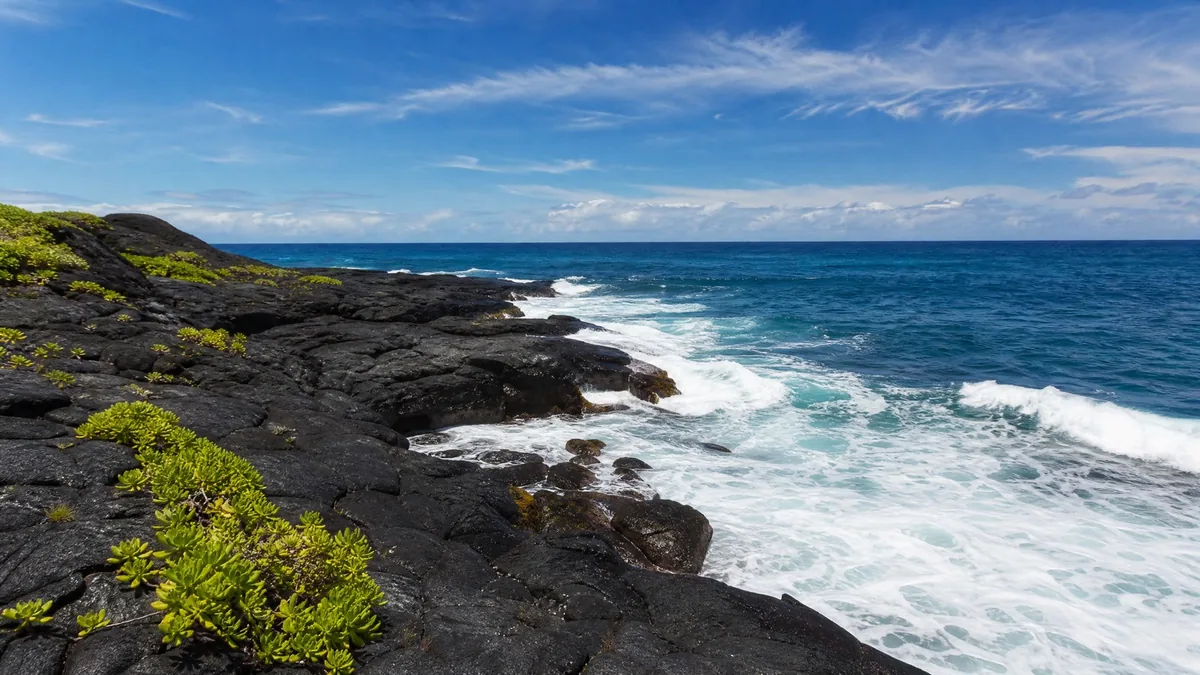 Black lava rock meeting a white-foam surf line under a blue sky, a few green plants in the cracks