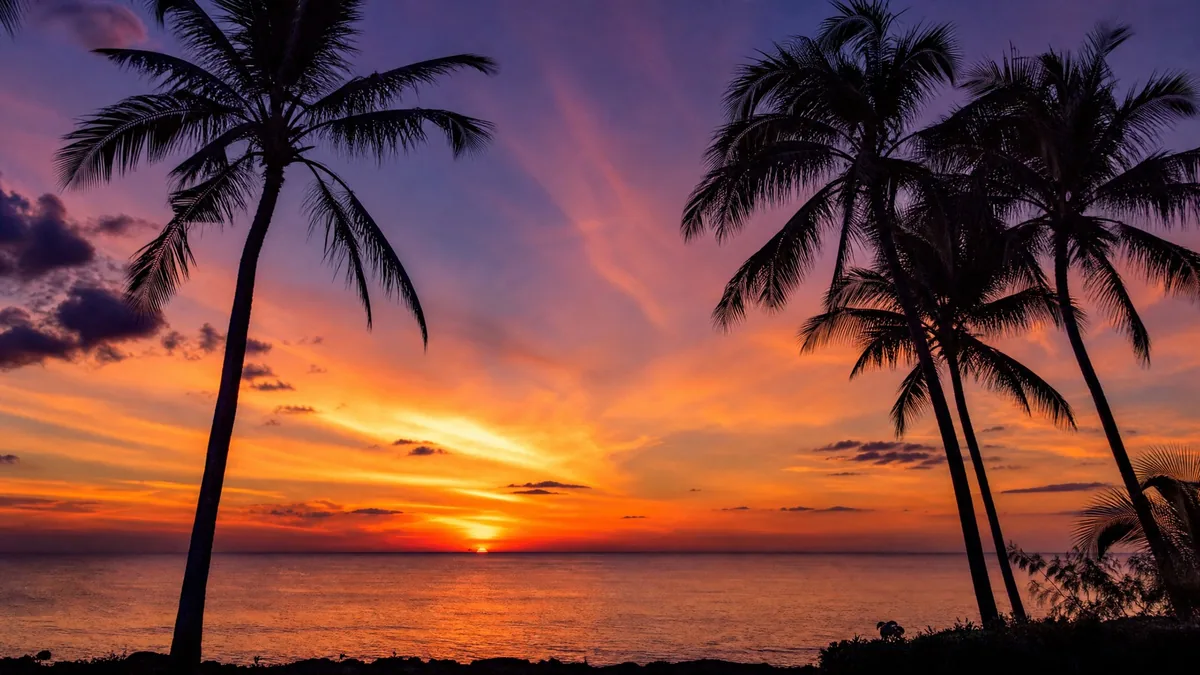 Silhouettes of coconut palms against an orange and violet sunset sky over a flat calm sea