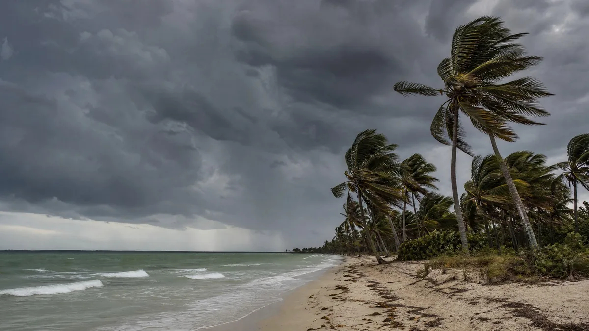 Dark storm clouds building over a palm-lined beach, wind bending the palms, gray-green sea