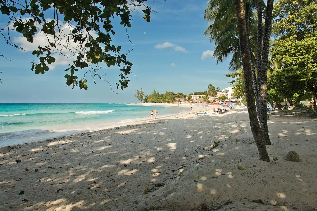 Morning light on Dover Beach in Barbados, with turquoise water and coconut palms shading the white sand