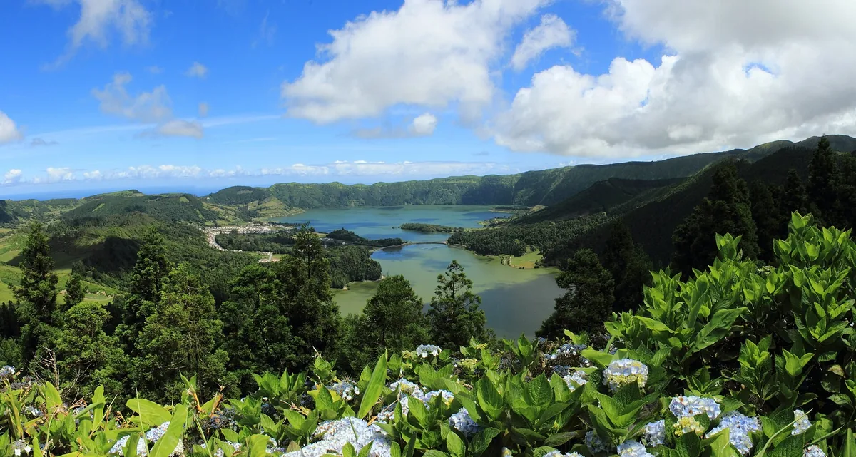 The Sete Cidades crater lakes framed by hydrangeas and green slopes on São Miguel in the Azores