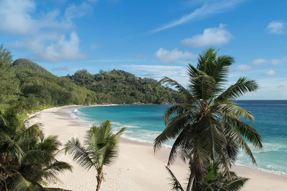 Coconut palms above the white sand and turquoise surf of Anse Intendance on Mahé, Seychelles
