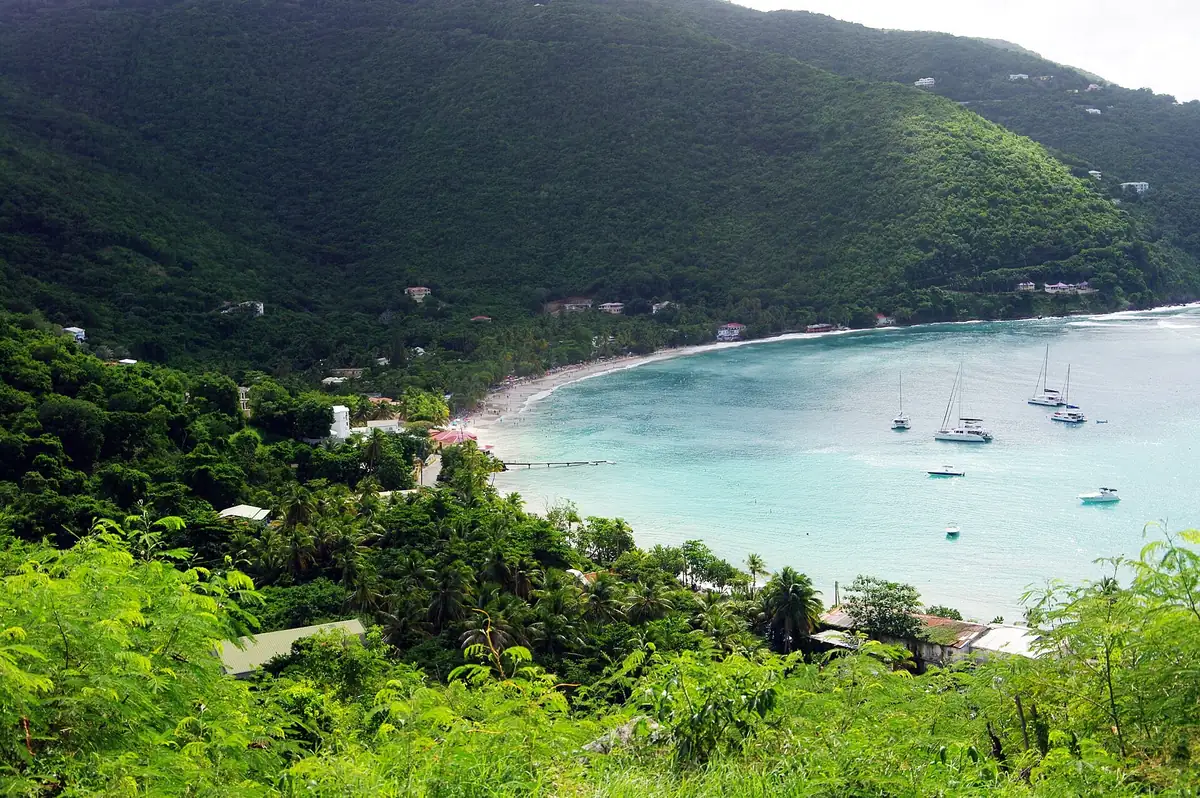 Sailboats anchored in Cane Garden Bay on Tortola, seen from the forested hillside above