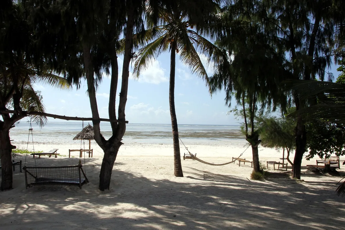 Palm trees, hammocks and swings shading white sand on a Zanzibar beach, with the lagoon at low tide beyond